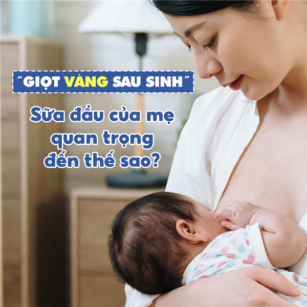 ​Sữa đầu của mẹ quan trọng đến thế sao?  ​
